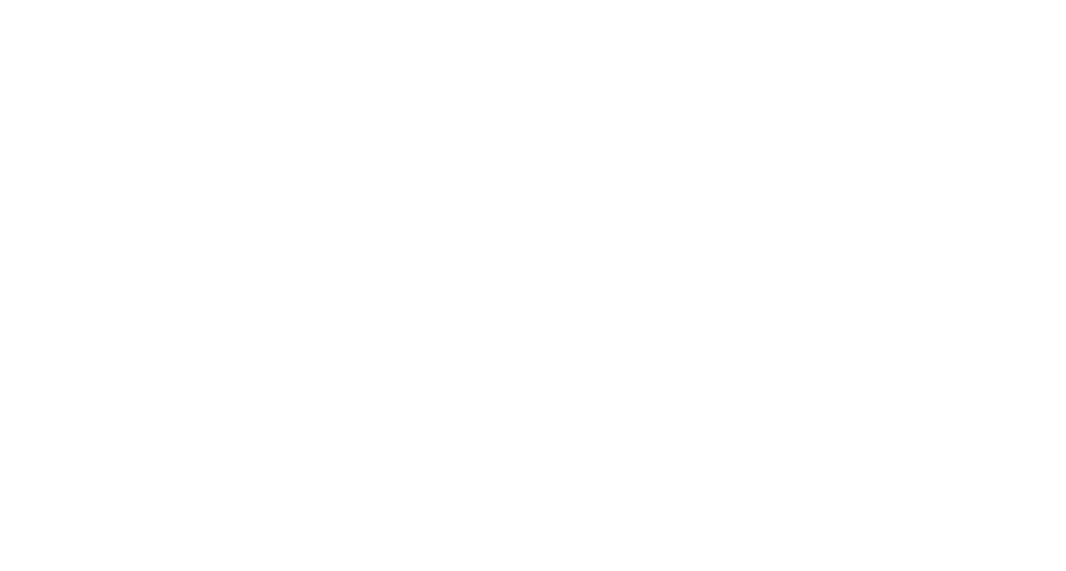 Invicta Watch Group